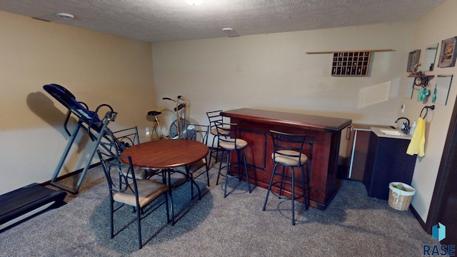 210 Lindsay Dr, Aurora, SD 57002 - indoor dry bar with carpet and a textured ceiling