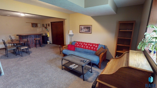210 Lindsay Dr, Aurora, SD 57002 - living room with carpet flooring and a bar