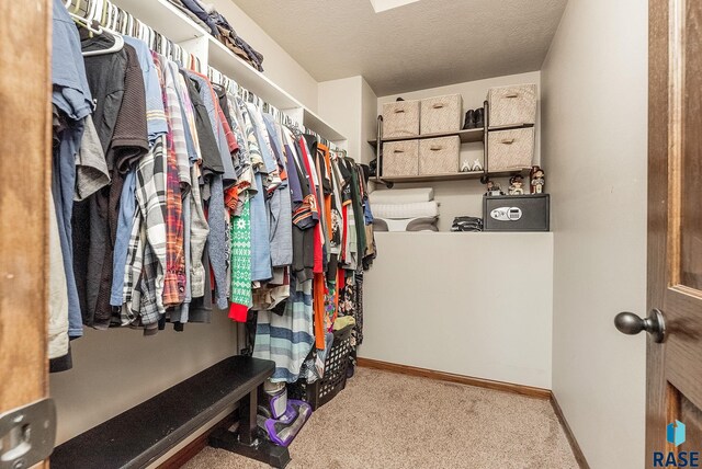 4005 S Grand Slam Ave, Sioux Falls, SD 57110 - spacious closet with carpet flooring