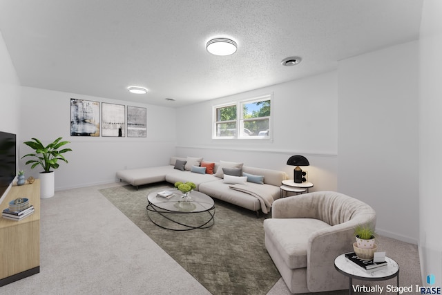 409 S 8th Ave, Brandon, SD 57005 - living room with carpet flooring and a textured ceiling