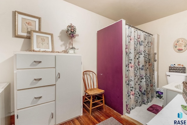 28437 462nd Ave, Davis, SD 57021 - bathroom with wood finished floors, a shower with shower curtain, and vanity