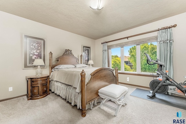 5809 S Nature Run Pl, Sioux Falls, SD 57108 - bedroom featuring light colored carpet and a textured ceiling