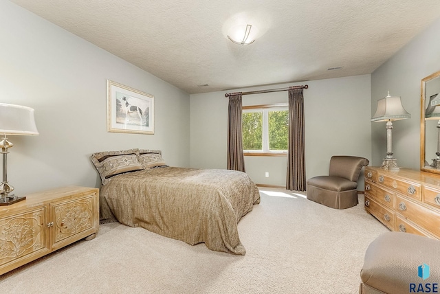5809 S Nature Run Pl, Sioux Falls, SD 57108 - bedroom with carpet and a textured ceiling