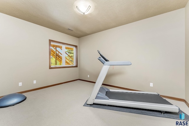 5809 S Nature Run Pl, Sioux Falls, SD 57108 - workout room with carpet and baseboards
