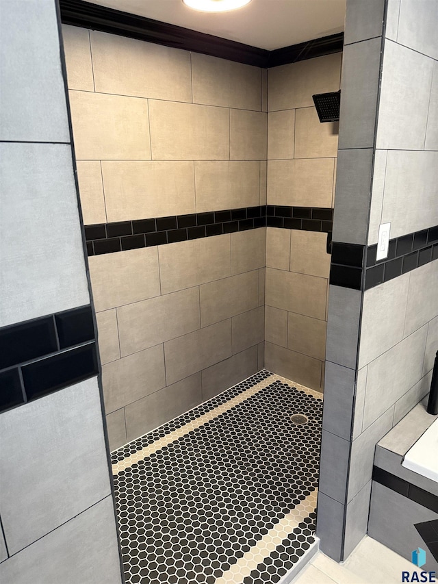 27139 US Highway 81, Freeman, SD 57319 - bathroom featuring tiled shower