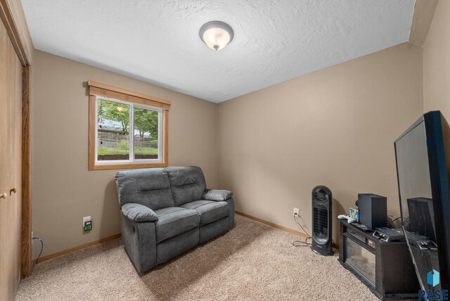 4504 S Plains Dr, Sioux Falls, SD 57106 - living area with a textured ceiling and carpet