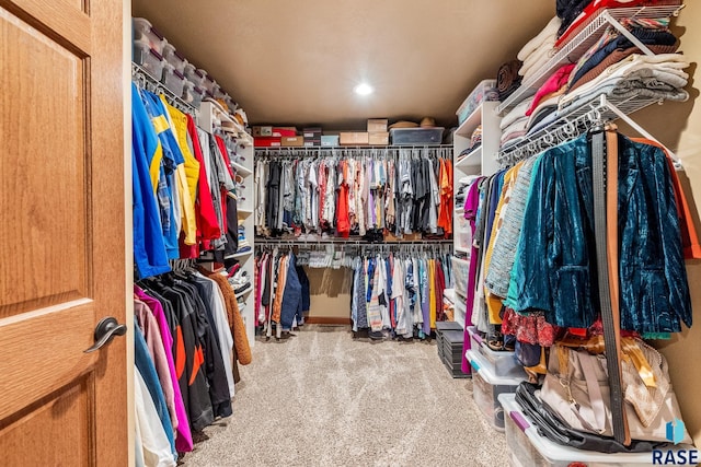 705 Railway St, Canistota, SD 57012 - spacious closet with carpet