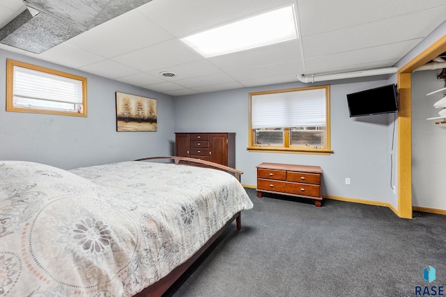 705 Railway St, Canistota, SD 57012 - bedroom featuring a drop ceiling, carpet flooring, and multiple windows