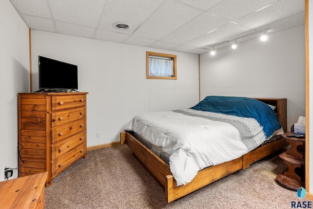 705 Railway St, Canistota, SD 57012 - carpeted bedroom with rail lighting and a paneled ceiling