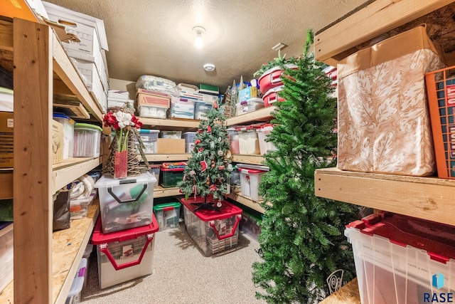 705 Railway St, Canistota, SD 57012 - view of storage area