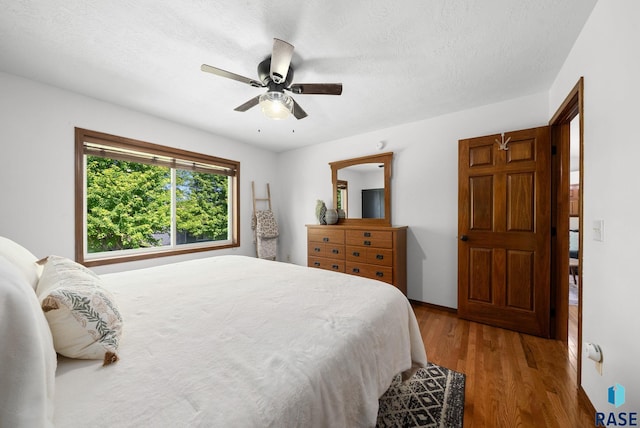 1413 Holbrook Ave, Sioux Falls, SD 57107 - bedroom with wood finished floors, a ceiling fan, and a textured ceiling
