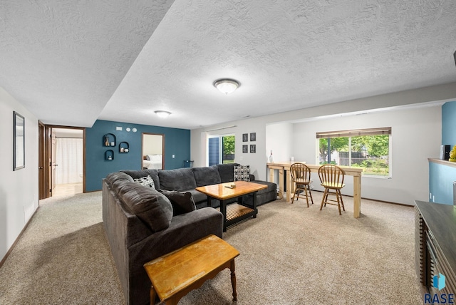 1413 Holbrook Ave, Sioux Falls, SD 57107 - living area with carpet, plenty of natural light, and a textured ceiling