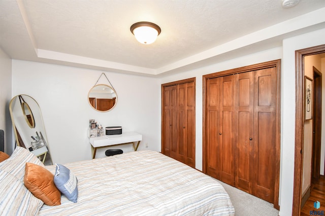 3208 S Triple Play Ave, Sioux Falls, SD 57110 - carpeted bedroom with two closets and a raised ceiling