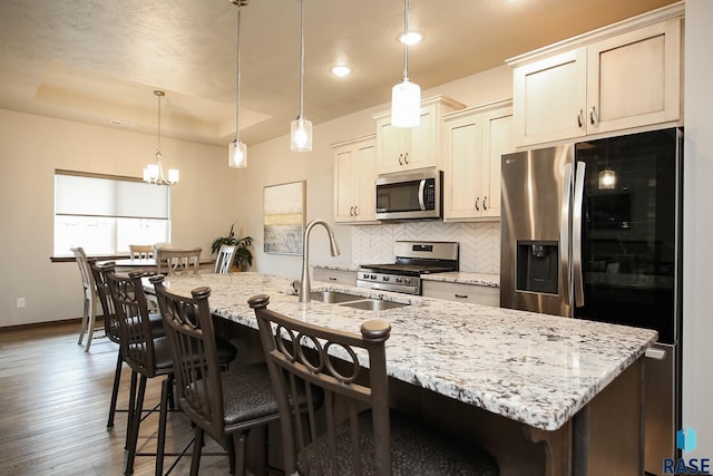 7905 S Brande Park Cir, Sioux Falls, SD 57108 - kitchen featuring stainless steel appliances, a tray ceiling, backsplash, a kitchen island with sink, and dark wood finished floors