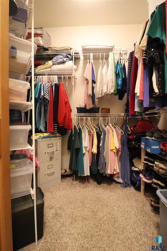5708 S Shadow Wood Pl, Sioux Falls, SD 57108 - walk in closet featuring carpet floors
