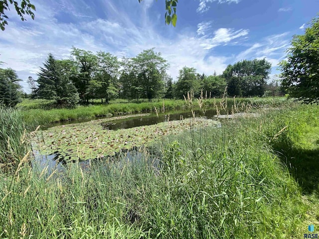 1496 121st St, Luverne, MN 56156 - view of local wilderness featuring a nearby body of water