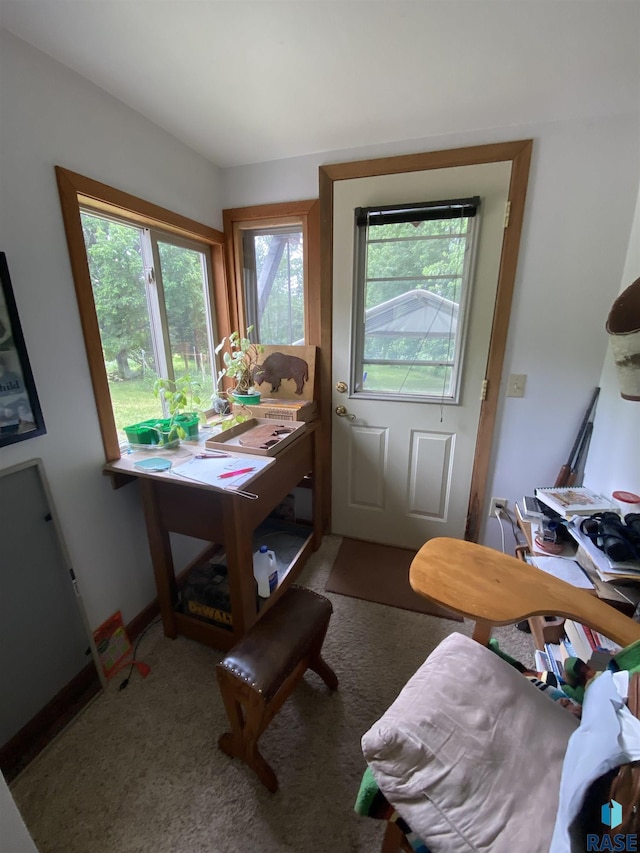 1496 121st St, Luverne, MN 56156 - dining space with plenty of natural light and carpet