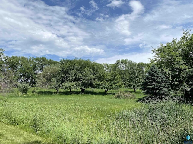 1496 121st St, Luverne, MN 56156 - view of local wilderness