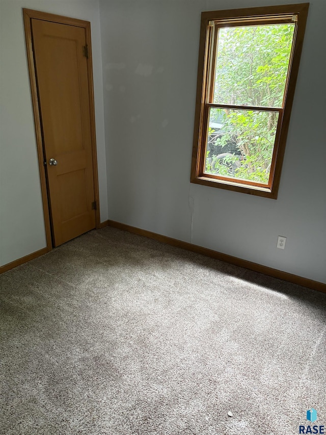 202 SW 7th Ave, Pipestone, MN 56164 - empty room featuring carpet floors and baseboards