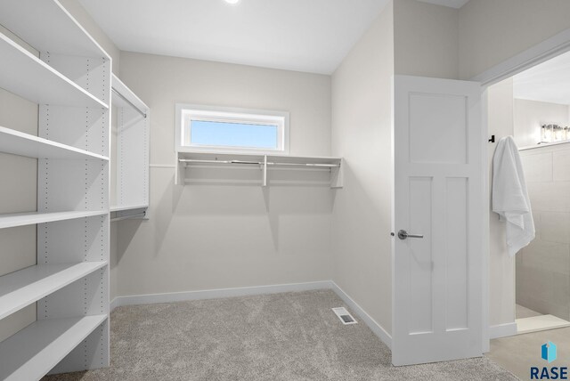 5601 E Morningside Cir, Sioux Falls, SD 57110 - spacious closet with carpet
