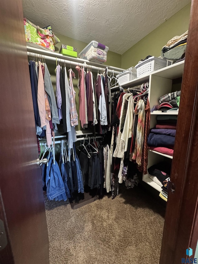6509 S Tomar Rd Unit 3, Sioux Falls, SD 57108 - walk in closet with carpet floors