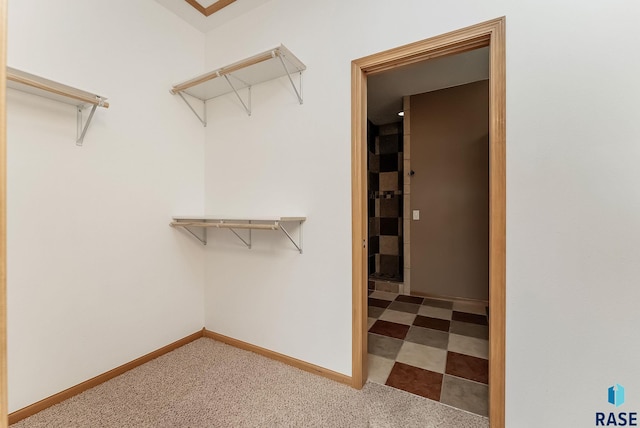 635 E Brian St, Tea, SD 57064 - spacious closet with carpet flooring