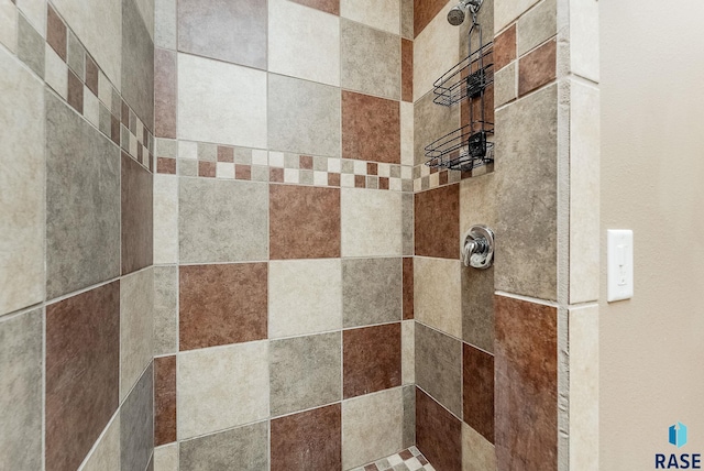 635 E Brian St, Tea, SD 57064 - bathroom with tiled shower