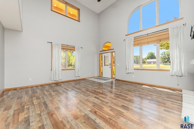 635 E Brian St, Tea, SD 57064 - spare room featuring wood finished floors, plenty of natural light, and a towering ceiling