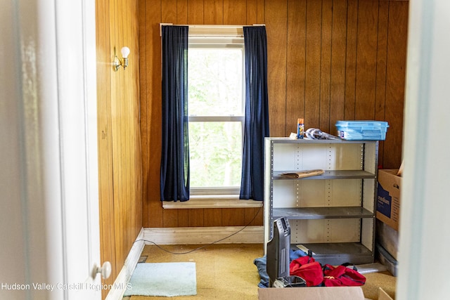 53 Broad St, Catskill, NY 12414 - bedroom featuring wooden walls