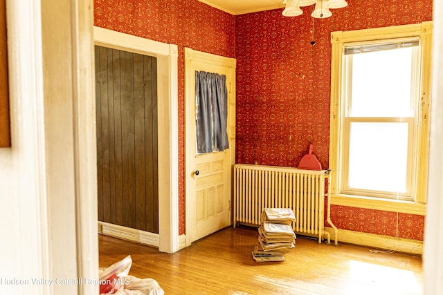 53 Broad St, Catskill, NY 12414 - unfurnished room with wallpapered walls, wood finished floors, plenty of natural light, and radiator