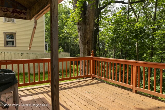 53 Broad St, Catskill, NY 12414 - deck with grilling area