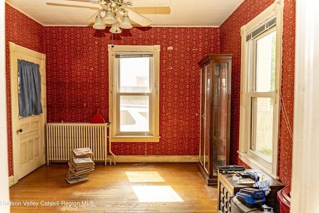 53 Broad St, Catskill, NY 12414 - unfurnished room featuring radiator, wood finished floors, healthy amount of natural light, wallpapered walls, and ornamental molding