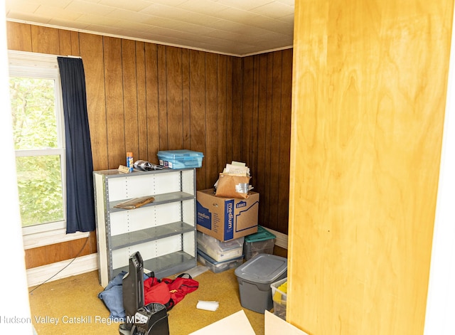 53 Broad St, Catskill, NY 12414 - view of storage