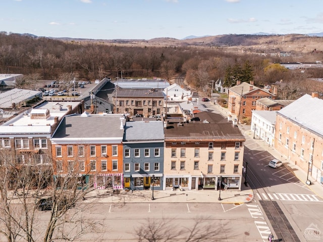 705 Warren St, Hudson, NY 12534 - drone / aerial view of mountains