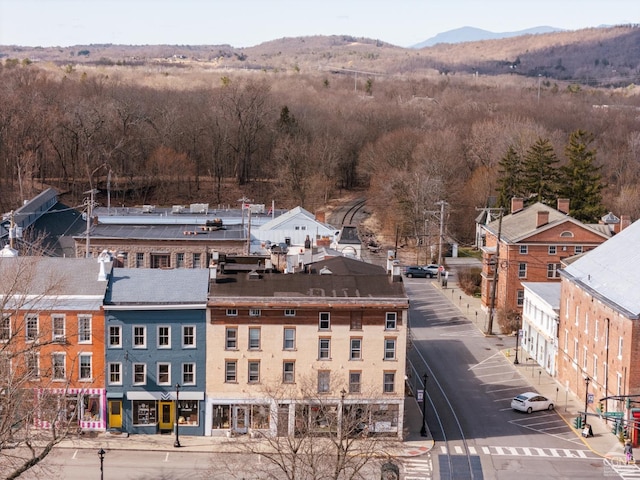 705 Warren St, Hudson, NY 12534 - drone / aerial view of mountains