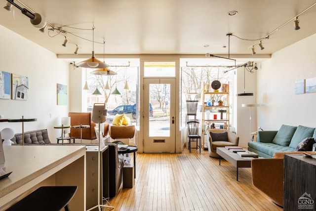 705 Warren St, Hudson, NY 12534 - living room featuring track lighting and light wood-style flooring