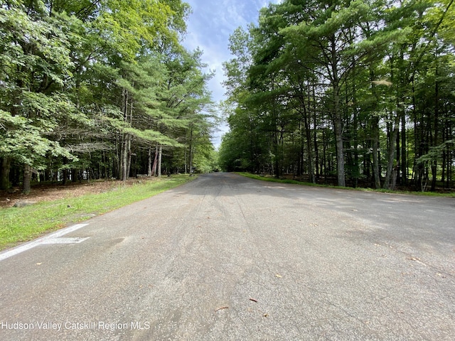 LOT7 Blue Heron Dr, Kingston, NY 12401 - photo 2