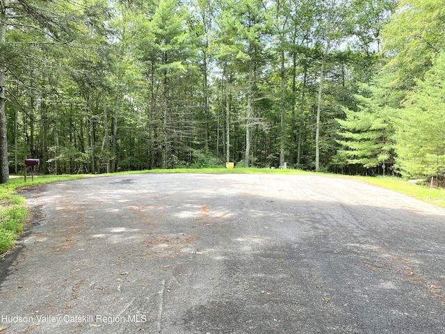 LOT7 Blue Heron Dr, Kingston, NY 12401 - photo 1
