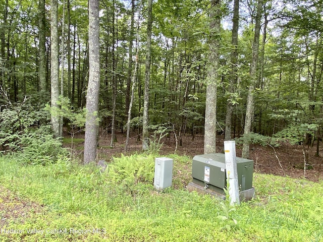 LOT7 Blue Heron Dr, Kingston, NY 12401 - photo 4