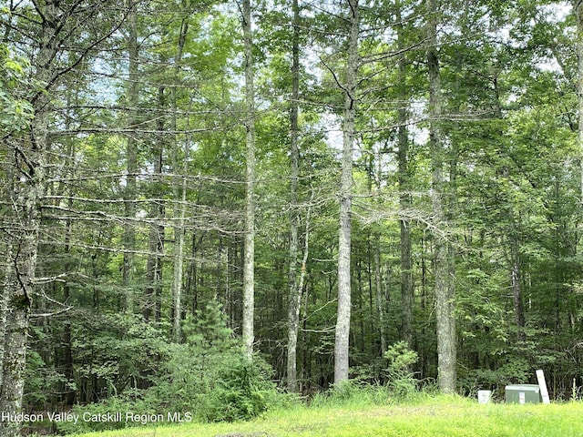 LOT7 Blue Heron Dr, Kingston, NY 12401 - photo 5