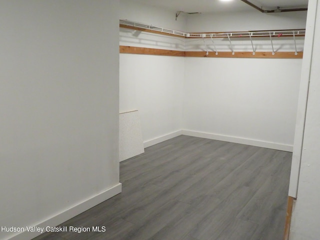 spacious closet featuring dark wood-type flooring