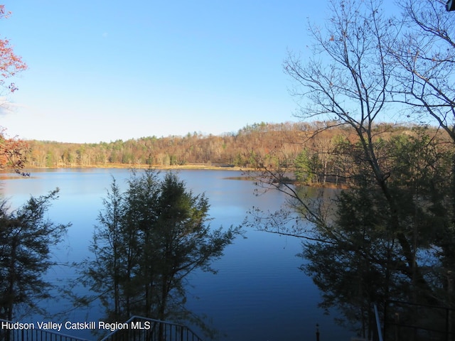 property view of water