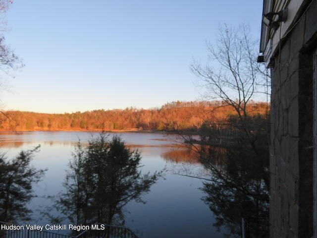 property view of water