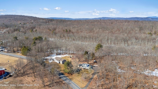 birds eye view of property featuring a wooded view and a mountain view