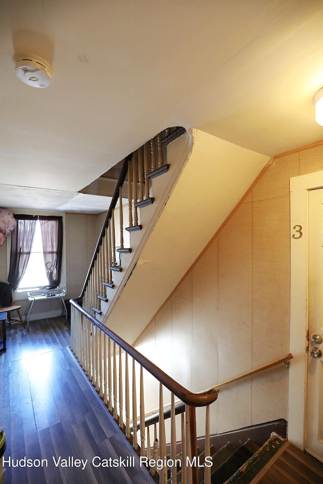 staircase with wood-type flooring