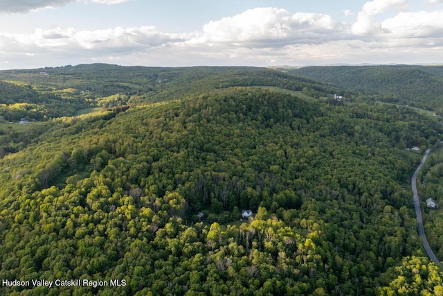 1556 Gulf Rd, Callicoon Center, NY 12724 - aerial view of a heavily wooded area and a mountainous background