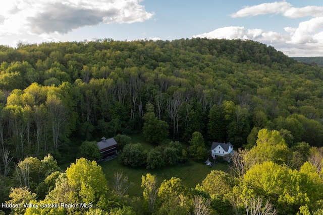 1556 Gulf Rd, Callicoon Center, NY 12724 - view from above of property with a forest