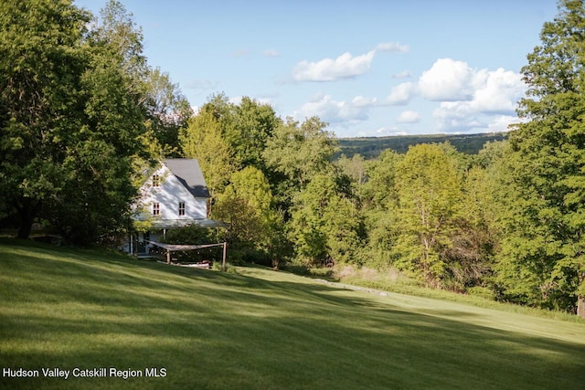 1556 Gulf Rd, Callicoon Center, NY 12724 - view of grassy yard featuring a wooded view