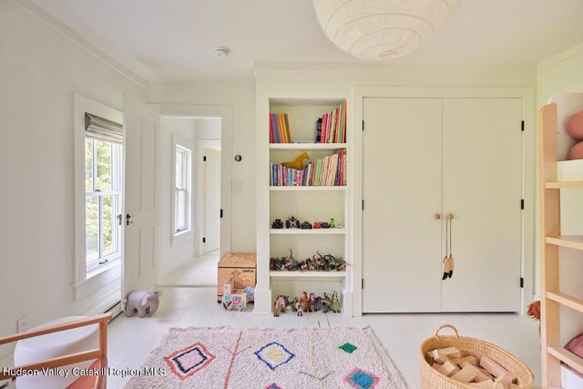 1556 Gulf Rd, Callicoon Center, NY 12724 - playroom featuring built in shelves
