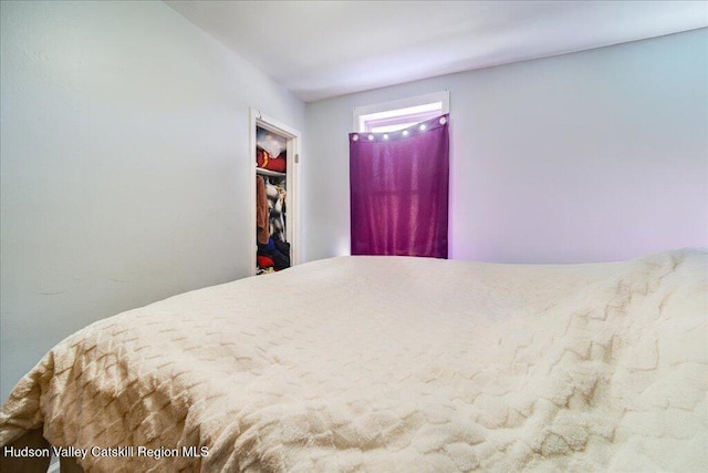 bedroom with a walk in closet
